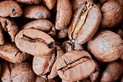 Freshly roasted coffee beasn