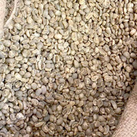 Indonesian Lintong Green Coffee Beans