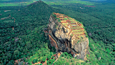 Ceylon(Sri Lanka) Teas