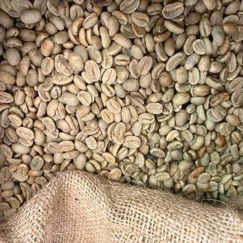 Green Papua New Guinea Y Grade